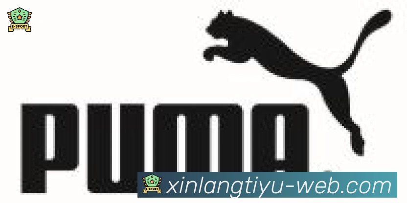 新浪体育直播合作伙伴